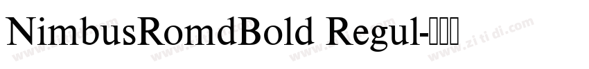 NimbusRomdBold Regul字体转换